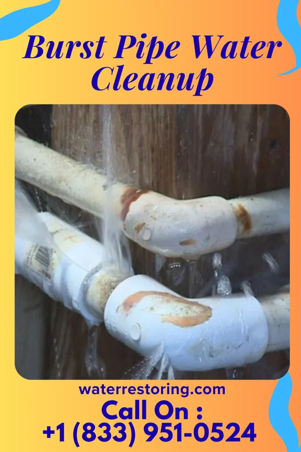 Burst Pipe Water Cleanup in Sanders, KY