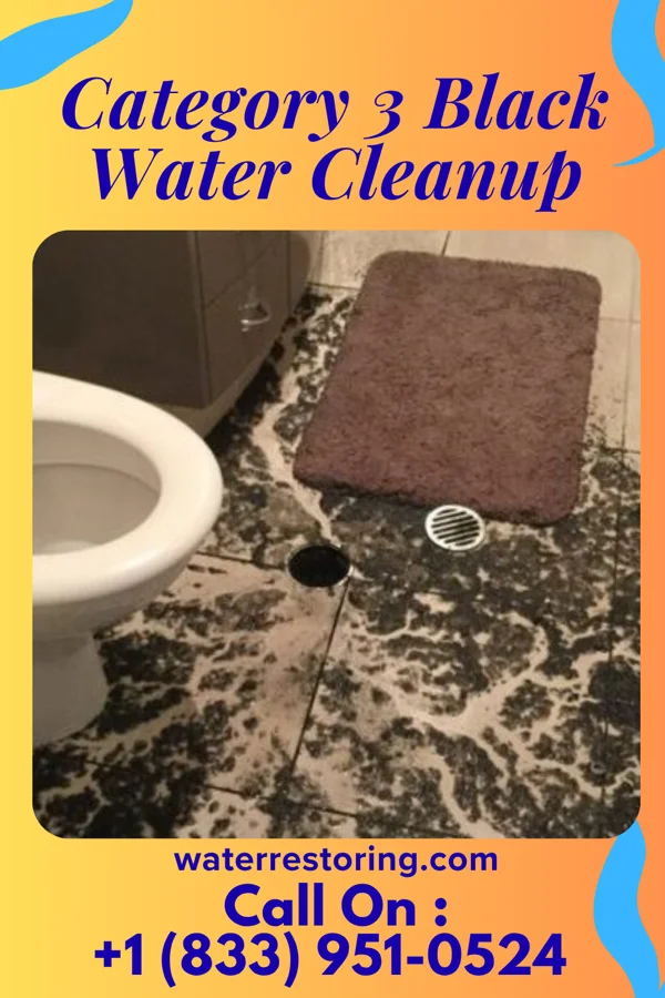 Category 3 Black Water Cleanup in Sanders, KY