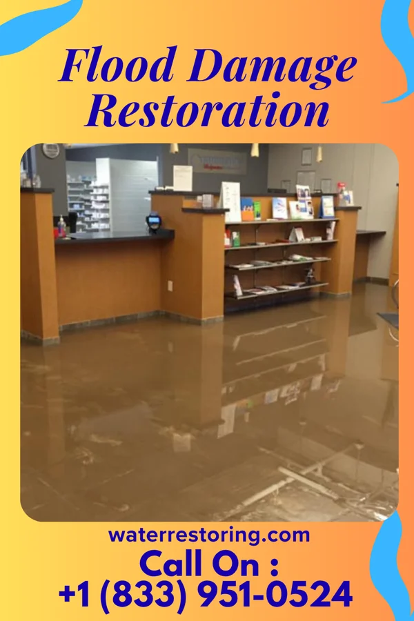 Flood Damage Restoration in Sanders, KY