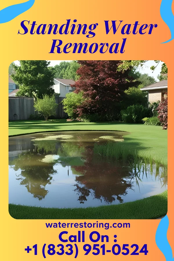 Standing Water Removal in Sanders, KY